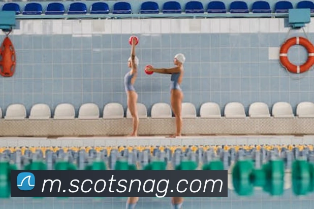 ag官网APP 封面图